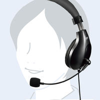 サンワサプライ 4極対応ヘッドセット MM-HS401BK 1個