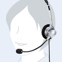 サンワサプライ 4極対応ヘッドセット MM-HS402SV 1個