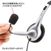 サンワサプライ マルチメディアPCヘッドセット MM-HS507NCN 1個