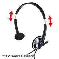サンワサプライ USBヘッドセット MM-HSUSB13BKN 1個（直送品）