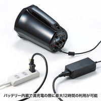 サンワサプライ ワイヤレスマイク付き拡声器スピーカー MM-SPAMP3 1個（直送品）