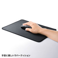 サンワサプライ 快適マウスパッド MPD-NS2-LL 1個