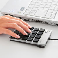 サンワサプライ USB2.0ハブ付テンキー NT-18UH2SV 1個