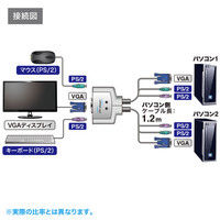 サンワサプライ パソコン自動切替器(2:1) SW-KVM2CPN 1個（直送品）