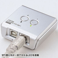 サンワサプライ USB2.0手動切替器(2回路) SW-US22N 1個（直送品）
