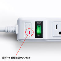 サンワサプライ 雷ガードタップ TAP-SP304 1個