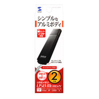 サンワサプライ USB2.0 メモリ UFD-A2G2BKK 1個（直送品）