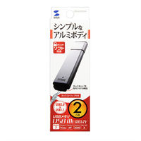 サンワサプライ USB2.0 メモリ UFD-A2G2SVK 1個（直送品）