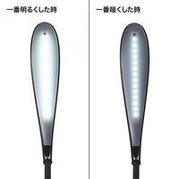 サンワサプライ USBタッチLEDスタンド(ブラック) USB-TOY82BK 1個（直送品）