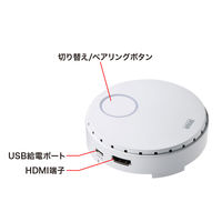 サンワサプライ ワイヤレスHDMIエクステンダー(増設用・送信機のみ) VGA-EXWHD6TX 1個