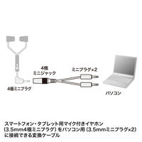サンワサプライ ヘッドセット用変換アダプタケーブル(4極メス→3極オスx2) KM-A24-005 1本