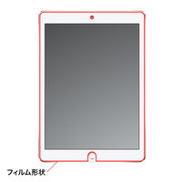 サンワサプライ iPad Air 2用液晶保護指紋防止光沢フィルム LCD-IPAD6FP 1枚