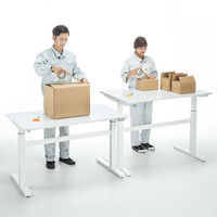 【在庫限り処分品】 サンワサプライ 手動昇降デスク（W1200） ERD-SH12070W 幅1200×奥行700×高さ675～1125mm 1台（直送品）