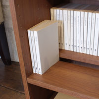 白井産業 リベルア マガジンラック 幅566×奥行296×高さ776mm ダークブラウン ダブル棚板 LIB-8055BS DK 1台（直送品）