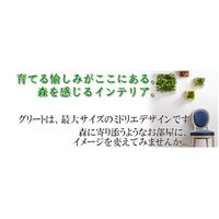 トヨタサントリーミドリエ MIDORIE DESIGN（ミドリエデザイン）観葉植物 グリート ブラウン17B4 1個（直送品）