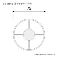 ストア・エキスプレス スタッキング ラウンドハンガー クローム 2019-410（直送品）
