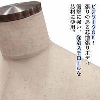 ストア・エキスプレス 紳士芯地張ボディ S ステンレス調 8005-2002（直送品）