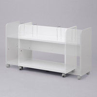 サンワサプライ 幅可変デスク下ファイルワゴン WG-303 幅680～1080×奥行300×高さ600mm 1台（直送品）