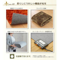 イケヒコ ラグ カーペット 2畳タイプ シャギー調 円形 『ラルジュ』 ブラウン 約185cm 丸1280200060603 1枚（直送品）