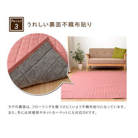 イケヒコ・コーポレーション コルムGN約200×250cm 1291300000000 1枚