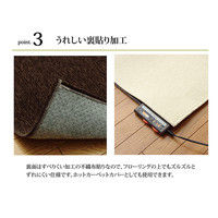 イケヒコ ラグ 洗える 無地カラー 選べる7色 『モデルノ』 オレンジ 約200×250cm 1292340206502 1枚（直送品）