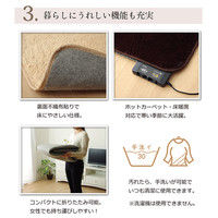 イケヒコ ラグ 2畳タイプ 『フィリップ』 ピンク 約185×185cm ホットカーペット対応 1280100221203 1枚（直送品）