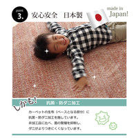 イケヒコ ラグ 2畳タイプ 抗菌 防臭 防ダニ 国産 『イリゼ』 ブルー 約190×190cm 1340630041903 1枚（直送品）