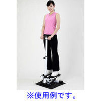 ALINCO（アルインコ） ハンドル付ステッパー（直送品）