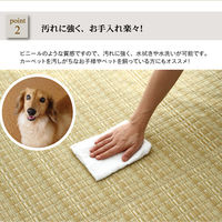 イケヒコ・コーポレーション バルカン PP 本間GN約本間3畳 1090030000000 1枚