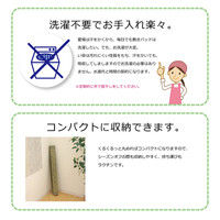 イケヒコ 国産い草シーツ（寝ござ） 『球磨川』 ブルー シングル約88×180cm（熊本県八代産イ草使用） 1枚（直送品）