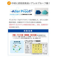 イケヒコ 車用カークッション 抗菌防臭 消臭 『マーブル無染土マチ付シート』 グリーン 約43×41cm 1個（直送品）