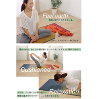 イケヒコ 国産い草使用 インストラクター公認 ヨガマット 「畳ヨガ」 約60×180cm NAGI 1枚（直送品）