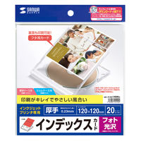 サンワサプライ プラケース用インデックスカード(フォト光沢) JP-IND14GKN 1冊