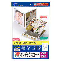 サンワサプライ インクジェットフォト光沢インデックスカード JP-INDGKN 1セット（直送品）