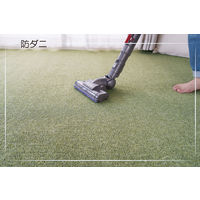 スミノエ オーダーカーペット ホームシェル オーダーラグ 2850×1650mm グリーン AS-HSL-GN285165 1枚（直送品）