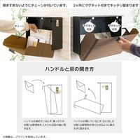 宮武製作所 メールボックス TEER ティール 幅350×奥行165×高さ255mm ブラウン MB-1300M_BR 1台（直送品）