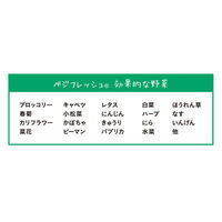 ホリックス　ベジフレッシュ　チャック付　野菜専用　鮮度保持袋　Mサイズ　141651　1000枚（5枚入x200袋）（直送品）