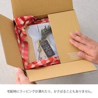 ヘッズ 掛け紙/フォトプリント-5 KG-PP5 1セット(150枚:30枚×5パック)（直送品）