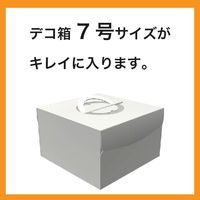 【保冷バッグ】ヘッズ ボヌールバッグー3　1セット（5枚入） BNR-3CB