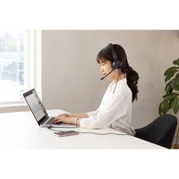 アイリスオーヤマ ヘッドセット(USBタイプ)　IHS-U03-B　ブラック IHS-U03-B 1台