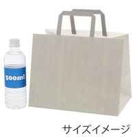 シモジマ 手提げ紙袋　フラットチャームバッグ　平手 280ー1 エコアッシュ 003277522 1袋（50枚入）