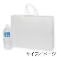 シモジマ 手提げ紙袋　25チャームバッグ 55ー1 白無地 003298500 1袋（50枚入）
