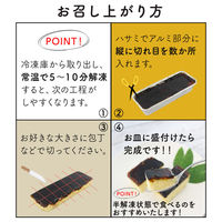 FUJI 濃厚カタラーナ プレーン 2本 1箱（直送品）