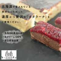 FUJI 濃厚カタラーナ プレーン 2本(2種) 1箱（直送品）