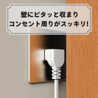 トップランド 延長コード 電源タップ 1m 8個口 USBーA充電ポート(2個口)付 抗菌加工 STPA810-WT 1個