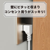 トップランド 延長コード 電源タップ 1m 4個口 USBーA充電ポート(2個口)付 抗菌加工 STPA410-WT 1個