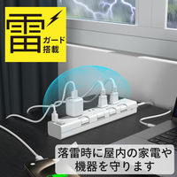 トップランド 延長コード 電源タップ 2m 4個口 個別スイッチ USB付 雷ガード 抗菌 STPC200-WT 1個