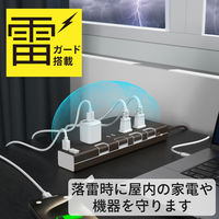 トップランド 延長コード 電源タップ 2m 4個口 個別スイッチ USB付 雷ガード 抗菌 STPC200-BR 1個