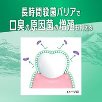 GUM(ガム) デンタルリンス ノンアルコール 960ml+ハグキラボ メディカルハーブ 18g ミニハミガキ付き サンスター