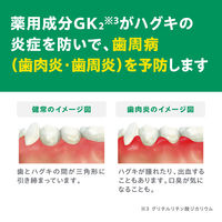 歯磨き粉 ガム デンタルペースト 132g 10%増量 サンスター GUM 歯周病予防 口臭防止 高濃度フッ素 虫歯予防